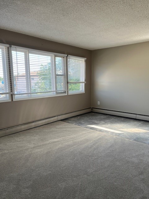 Spacious Bright 1 Bedroom Avalon Area